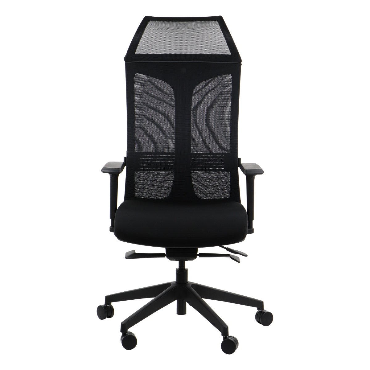 Ergonominė biuro kėdė RYDER