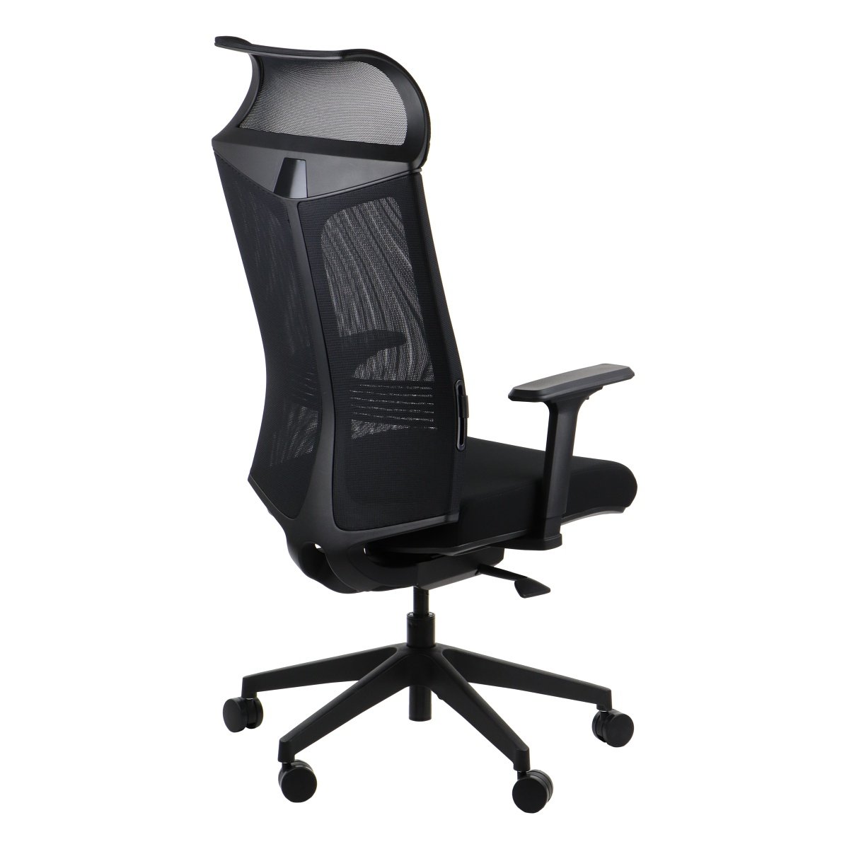 Ergonominė biuro kėdė RYDER