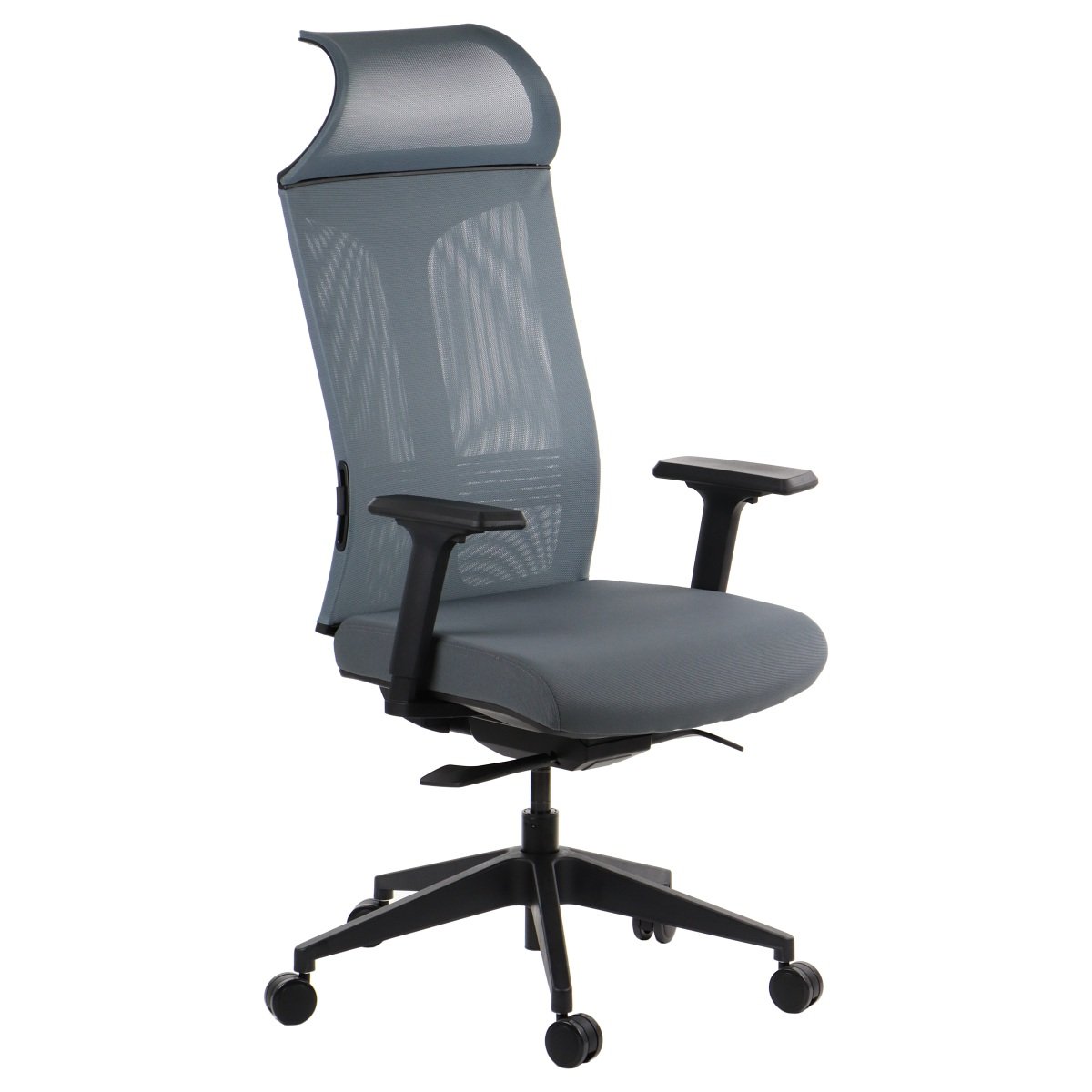 Ergonominė biuro kėdė RYDER