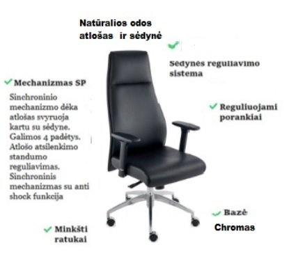 Odinė vadovo biuro kėdė MODO specifikacija
