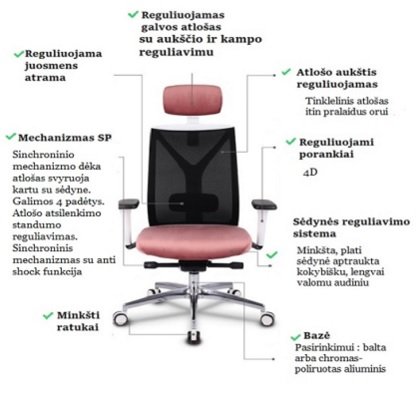 Ergonominė biuro kėdė VALIO WS HD specifikacija