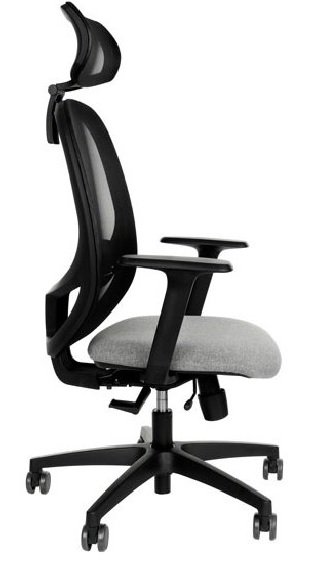 Ergonominė biuro kėdė NODI WS HD