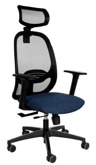 Ergonominė biuro kėdė NODI WS HD