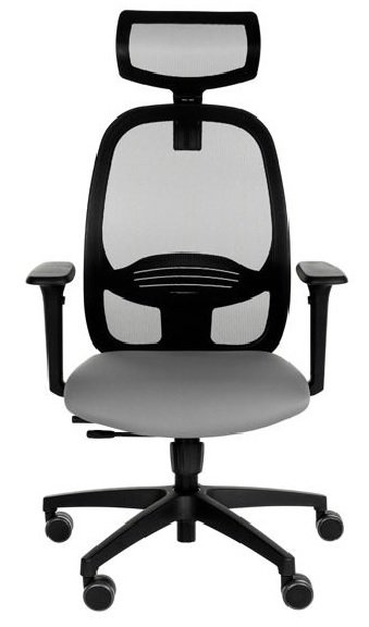 Ergonominė biuro kėdė NODI WS HD