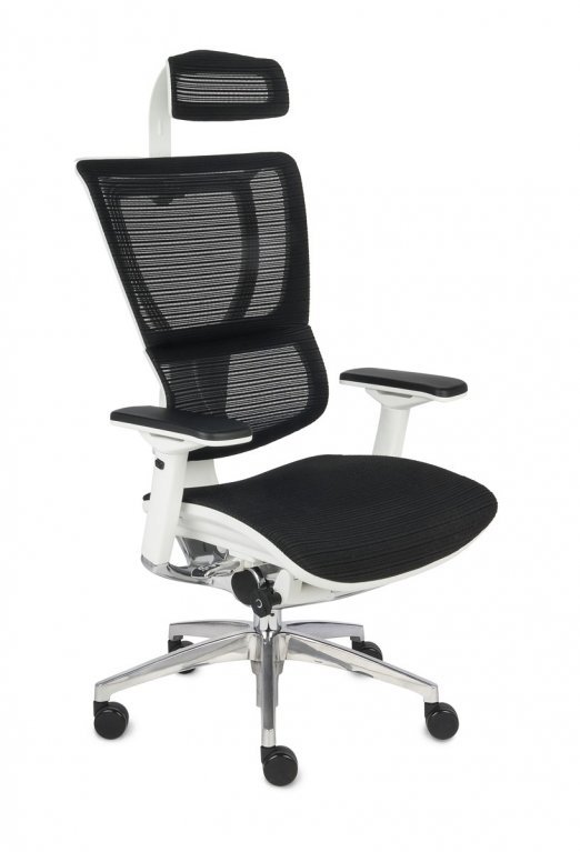 Ergonominė kėdė ERGO 100