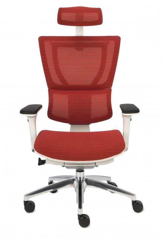 Ergonominė kėdė ERGO 100