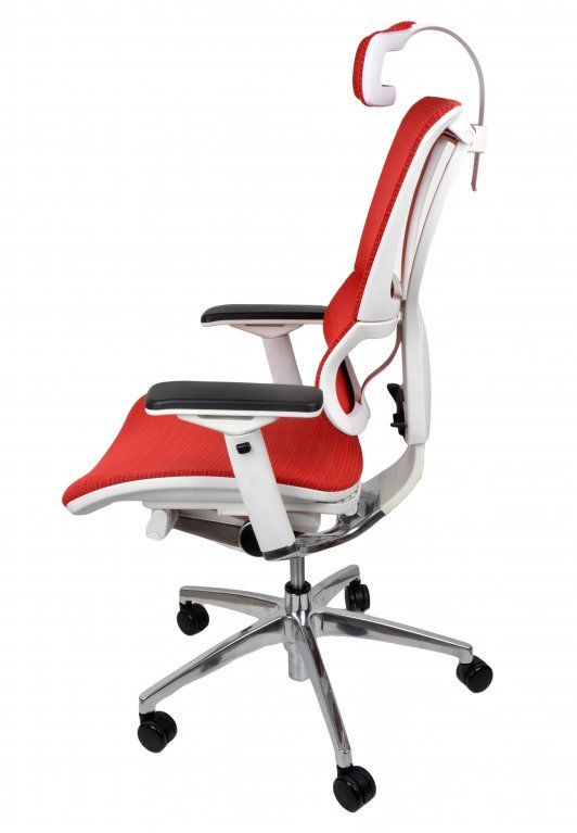 Ergonominė kėdė ERGO 100