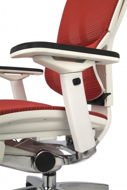 Ergonominė kėdė ERGO 100