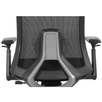 Ergonominė biuro kėdė LUMBAR HD juosmens atrama