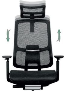 Ergonominė biuro kėdė STABILITY HD atlošas