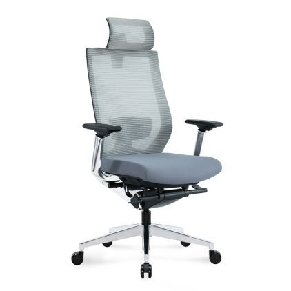 Ergonominė biuro kėdė ALUMASTER HD