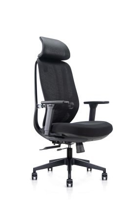 Ergonominė biuro kėdė NOBRIUM V1