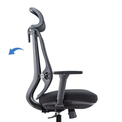 Ergonominė biuro kėdė NOBRIUM sinchroninis mechanizmas
