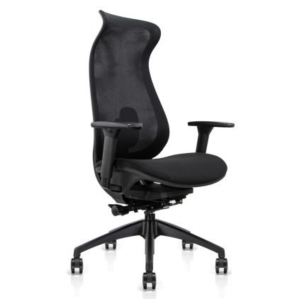 Ergonominė biuro kėdė COBALT V1