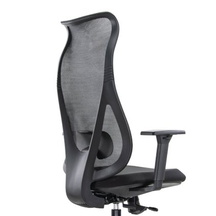 Ergonominės biuro kėdės MERCURY atlošas