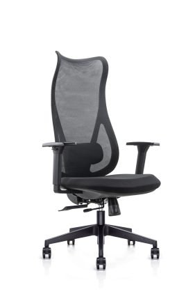 Ergonominė biuro kėdė MERCURY