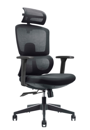 Ergonominė biuro kėdė BERK V1