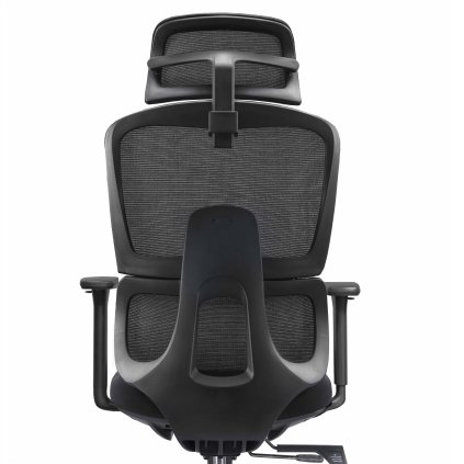Ergonominė biuro kėdė BERK atlošas