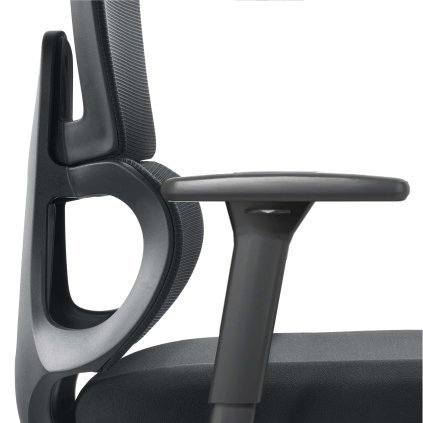 Ergonominė biuro kėdė LUMBAR HD