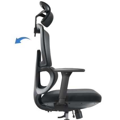 Ergonominė biuro kėdė BERK mechanizmas