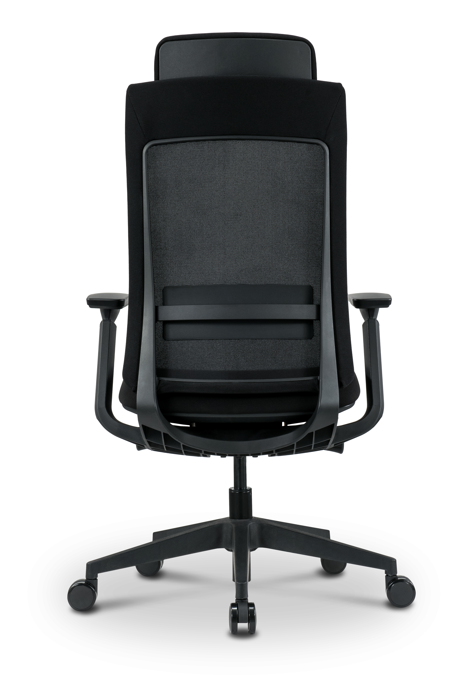 Ergonominė biuro kėdė CARBON V1