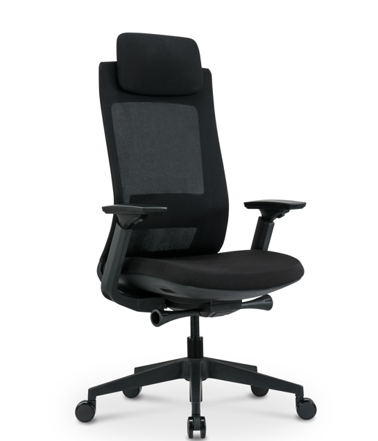 Ergonominė biuro kėdė CARBON V1