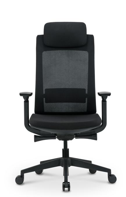Ergonominė biuro kėdė CARBON V1