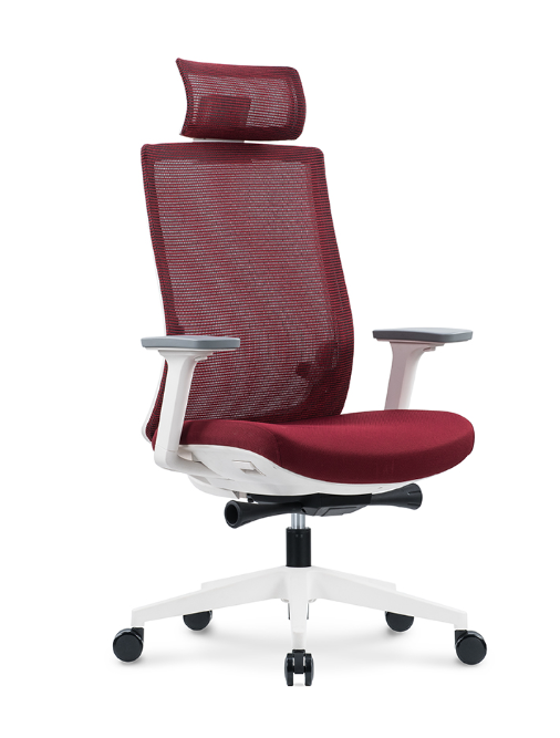 Ergonominė biuro kėdė SPARTA V2