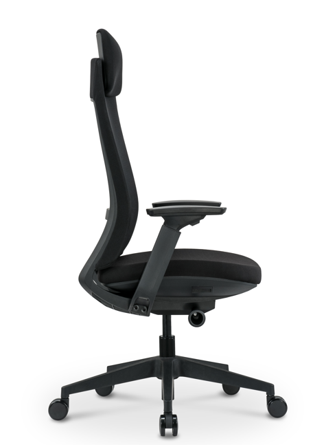 Ergonominė biuro kėdė CARBON V1