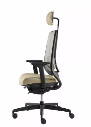Ergonominė biuro kėdė ROVO R22