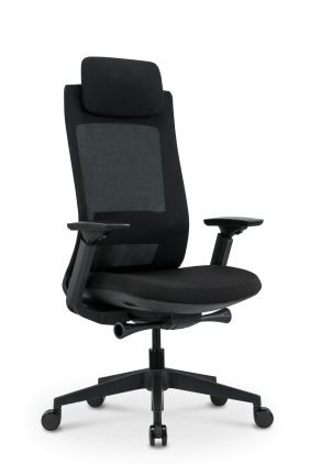 Ergonominė biuro kėdė CARBON V1