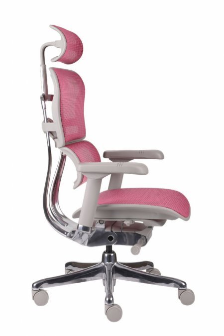 Biuro kėdė ERGOHUMAN 2 Elite BS black