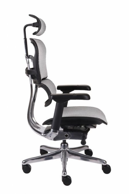 Biuro kėdė ERGOHUMAN 2 Elite BS black