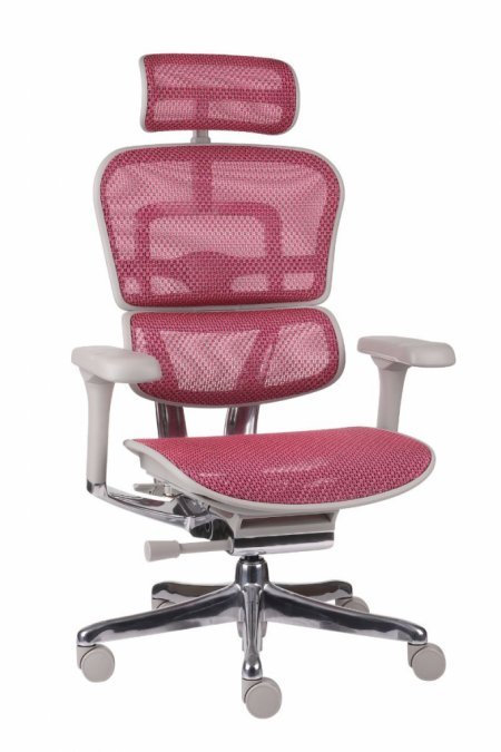Biuro kėdė ERGOHUMAN 2 Elite BS black