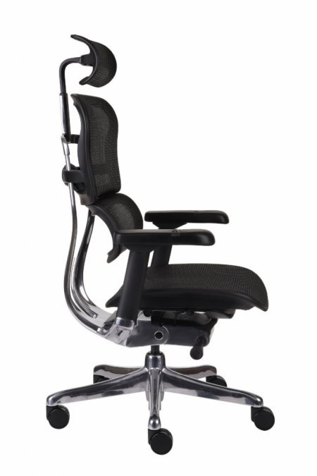 Biuro kėdė ERGOHUMAN 2 Elite BS black