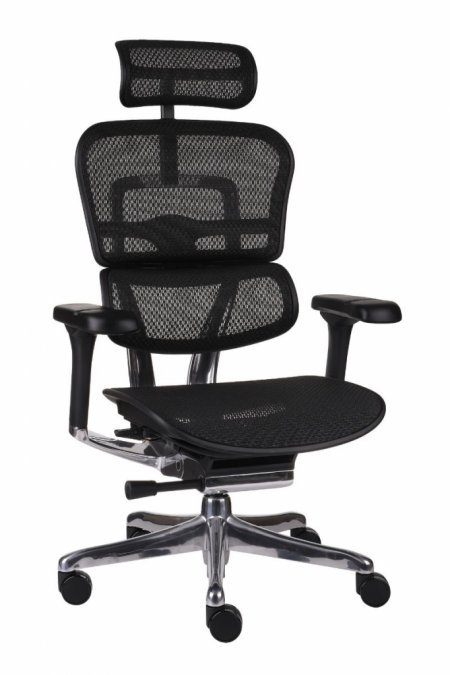 Biuro kėdė ERGOHUMAN 2 Elite BS black