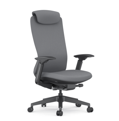 Ergonominė kėdė OCA V1