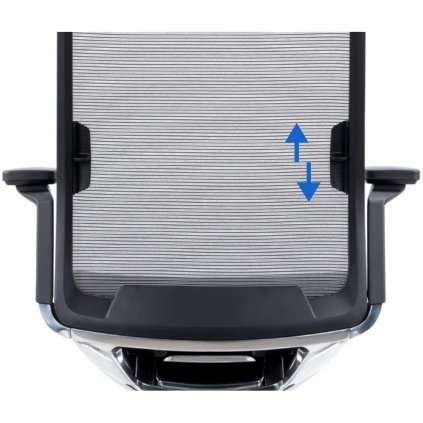 Ergonominė biuro kėdė SILVER juosmens atrama