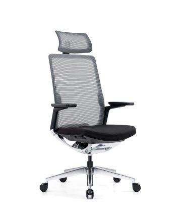 Ergonominė biuro kėdė SILVER
