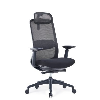 Ergonominė biuro kėdė BRASS V1